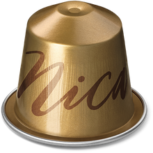 Cargar imagen en el visor de la galería, Caja x10 capsulas Nespresso Master Origin - Nicaragua-Capsulandia-1
